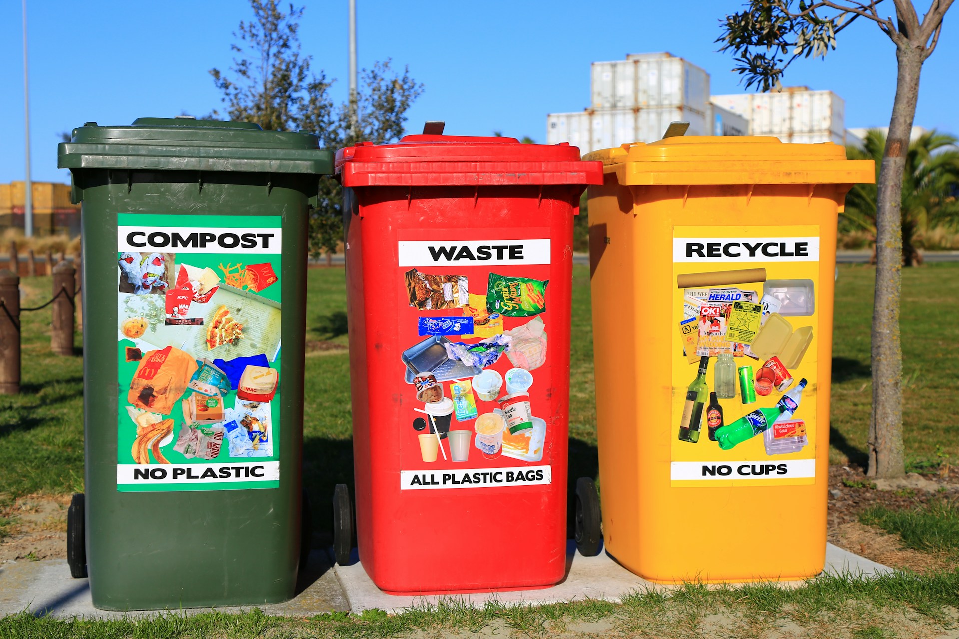 Sustainability in Berlin: How the City Leads the Zero-Waste Movement